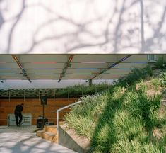 an open garage with grass growing on the side