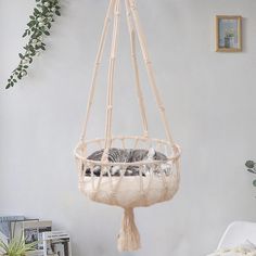 a cat is sleeping in a hammock hanging from the ceiling, next to a potted plant