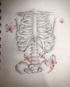 a drawing of a human skeleton with butterflies on it's chest and back side