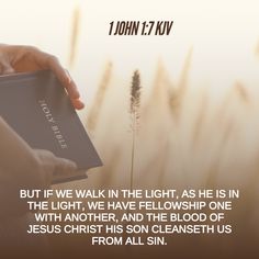 November 01, 2024 Verse of the Day #DailyBread #biblestudy #spiritualawakening #GodIsGreat #GodIsLove  But if we walk in the light, as He is in the light, we have fellowship one with another, and the blood of Jesus Christ His Son cleanseth us from all sin.   1 John 1:7 KJV💜 1 John 1 7, The Blood Of Jesus, November 01, Blood Of Jesus, Walk In The Light, All Sins