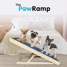 three small dogs sitting on top of a bed with the word pawsramp above them