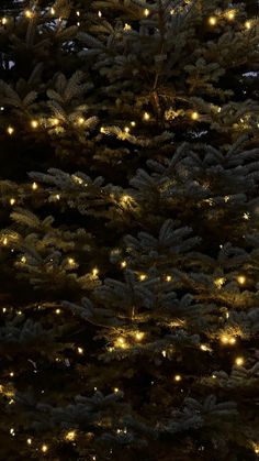 a large christmas tree with lights on it