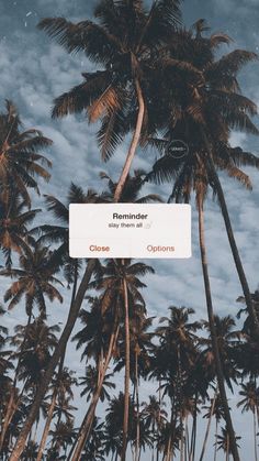 palm trees against a cloudy blue sky with a sign in the foreground that reads flaminger