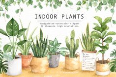 watercolor houseplants and plants in pots on a table with the text indoor plants