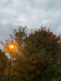 a street light in the middle of a park with trees and clouds behind it on a cloudy day