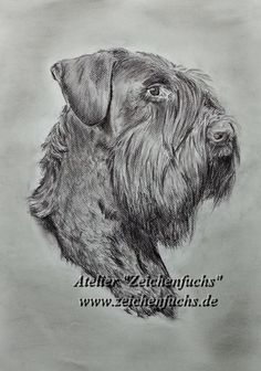 a black and white drawing of a dog