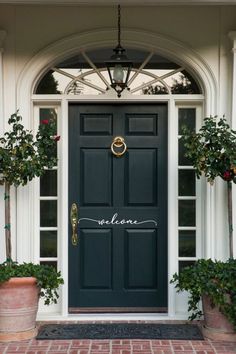 a black front door with potted plants on either side