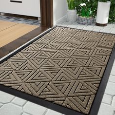 a large brown rug on the floor next to a potted plant