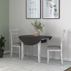 a dining room table with two chairs and a potted plant on the floor next to it