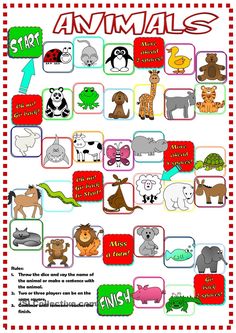 an animal chart with different animals and their names in red, green, white and blue