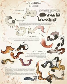 an illustrated poster with different types of animals