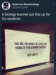 a sign that is on the side of a glass door saying, you are the result of 3 billion years of evolution success bct like it