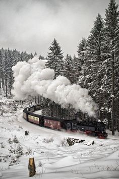 Hogwarts express snow Black Forest Germany, Oc Inspo, Wallpaper Tumblr, Snowy Day, Steam Trains, Train Tracks, Pine Trees, Train Travel, Black Forest