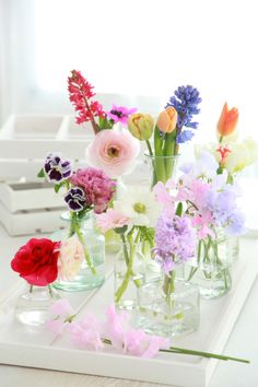 there are many different flowers in vases on the tray