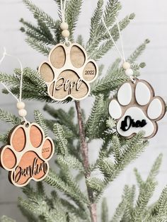 three ornaments hanging from a christmas tree decorated with dog's paw prints and name