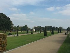 people are walking around in the park with trees and bushes on either side of the walkway