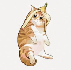 an orange and white cat with a banana on it's head is sitting down