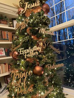 a christmas tree decorated with gold and silver ornaments in front of a window, surrounded by bookshelves