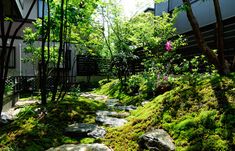 a small garden with rocks and moss growing on the ground in front of a house