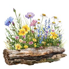 watercolor painting of wildflowers and log