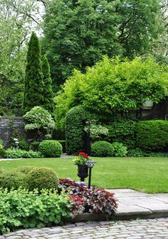 a garden with lots of trees and bushes