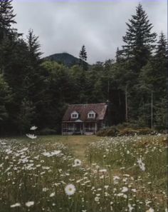 a house in the middle of a field with wildflowers around it and mountains in the background