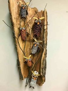 some pine cones and owls are on a piece of wood