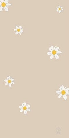 white daisies with yellow centers on a beige background wallpaper pattern by the yard