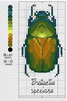 a cross stitch pattern with an image of a green bug on it's back