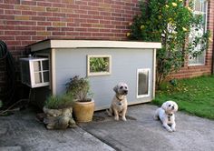 two dogs sitting in front of a dog house