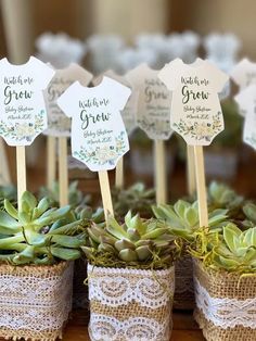 35+ Genius DIY Baby Shower Ideas for Girls - HubPages Christening Souvenirs Baby Girl, Plant Theme Baby Shower Ideas, Succulent Baby Shower Ideas, Plant Themed Baby Shower Ideas, Botanical Baby Shower Ideas, Ideas Para Baby Shower, Baby Shower Verde, Diy Baby Shower Ideas