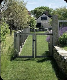 an open gate in front of a house with lavender flowers growing on the lawn and stone steps leading up to it