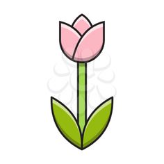 a pink flower with green leaves on a white background