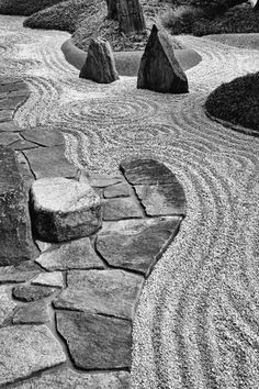 black and white photograph of rock garden with trees in the backgrounds