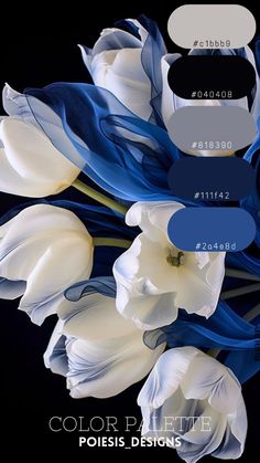 a bunch of white and blue flowers on a black background with the words color d lettered below them