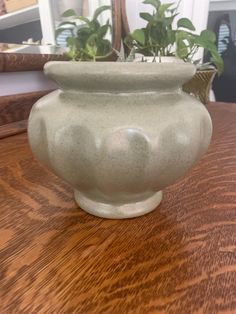 a potted plant sitting on top of a wooden table in front of a mirror