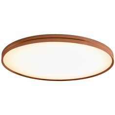 a round light fixture on a white background