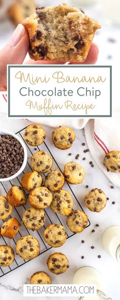 mini banana chocolate chip muffins on a cooling rack with the title above it