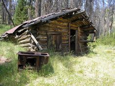 an old log cabin sits in the woods