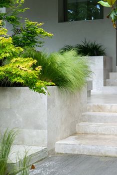 a planter filled with lots of green plants next to some concrete steps and bushes