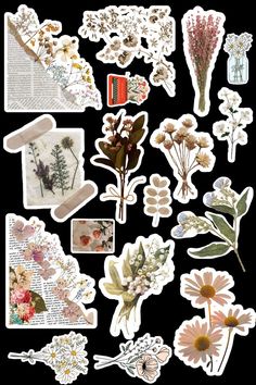 an assortment of stickers with flowers on them