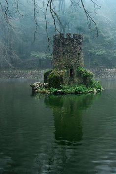 an old castle sitting on top of a lake in the middle of a foggy forest