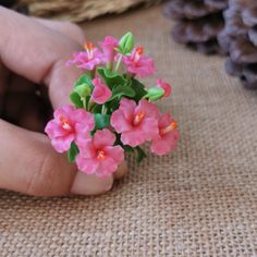 small pink flowers are being held in someone's hand