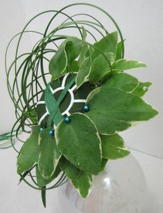 a plant with green leaves and blue beads in a glass vase on a white table