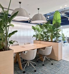 an office with plants and chairs around the table in front of two planters that are hanging from the ceiling