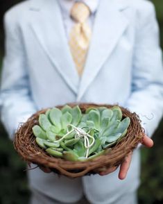 a man in a suit holding a basket filled with succulents