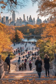 Central Park Nyc Autumn, Autumn In Central Park, Central Park In Autumn, Central Park In The Fall, Nyc In The Fall Aesthetic, New York Park Central, Fall In New Jersey, New York City In Fall, Thing To Do In Fall