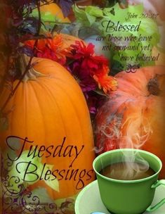 a cup of coffee sitting on top of a saucer next to some pumpkins