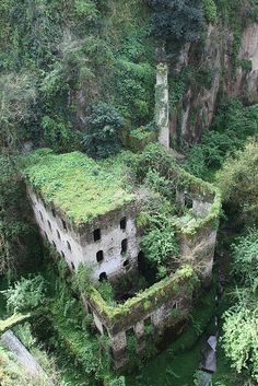 an abandoned building surrounded by trees in the middle of a mountain side area with lots of greenery growing on it's roof