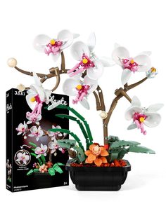 an orchid plant with white and pink flowers in a black pot next to a box